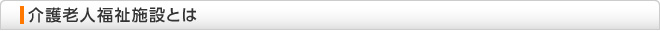 介護老人福祉施設とは